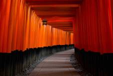 Gray concrete pathway between red and black pillars in Kyoto, Japan