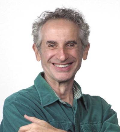 Karim Shamsi-Basha