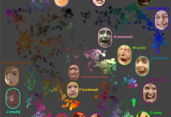 Are Facial Expressions the Same Around the World?