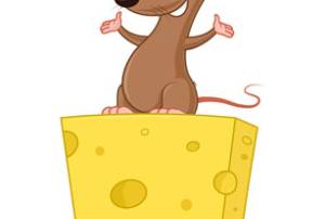 Just One Thing: Feed the Mouse