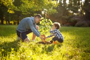Father and son planting a tree