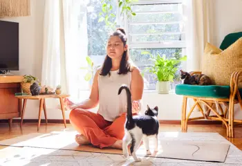 Can Mindfulness Reduce Anxiety as Well as a Drug?