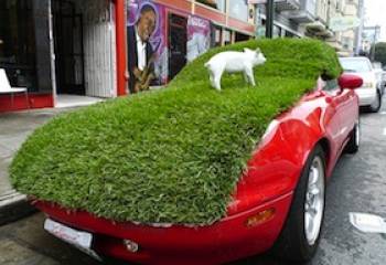 Green Cities, Happy Cities