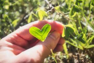 Can Gratitude Help You Live More Sustainably?