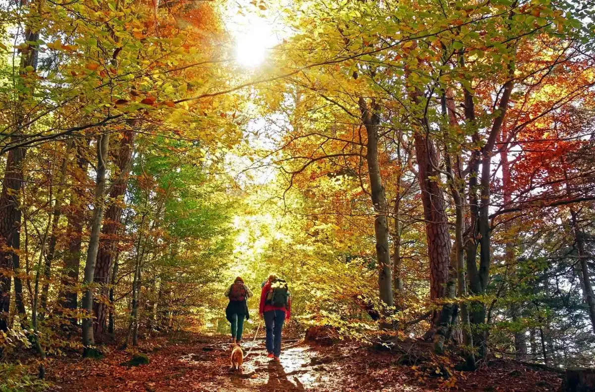 Hiking & Nature