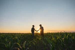 Two men shaking hands in a field