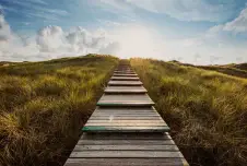 Wooden stairs going up with grass on each side and clouds/sunlight at the top