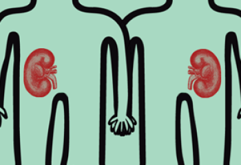 Need a Kidney? Go to a Happy State