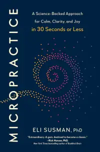 Micropractice book cover