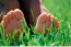 Happiness Break: Being Present From Head to Toe, With Spring Washam