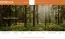 Happiness Break: Contemplating Our Interdependence With Nature, With Dekila Chungyalpa