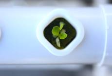 Stuck at Home? How to Find Awe and Beauty Indoors