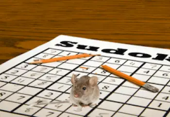 Learning Might Buffer Brain Against Addiction