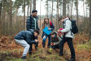 Group of teens gathered around and observing a tree stump in the forest
