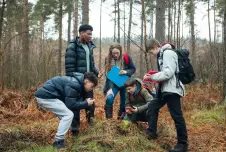 Group of teens gathered around and observing a tree stump in the forest