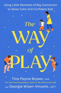 Way of Play book cover
