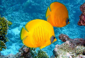 Ten Inspiring Signs of Progress From 2025