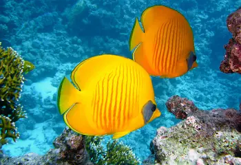 Ten Inspiring Signs of Progress From 2025