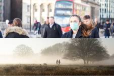 Split imagine depicting urban life with people wearing masks and rural life with 2 figures and a dog walking by some trees.