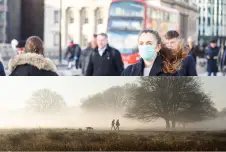 Split imagine depicting urban life with people wearing masks and rural life with 2 figures and a dog walking by some trees.