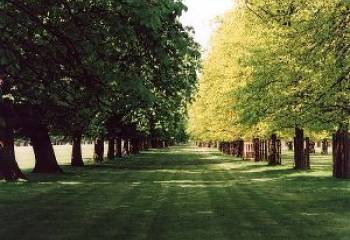 A Walk in the Park