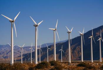 Why Are Some Climate Policies More Popular Than Others?