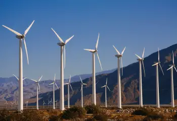 Why Are Some Climate Policies More Popular Than Others?