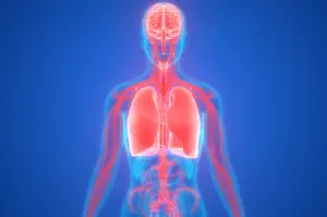 Can Consciousness Exist Without a Body?