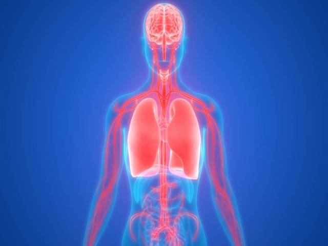 Can Consciousness Exist Without a Body?