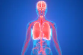 Can Consciousness Exist Without a Body?
