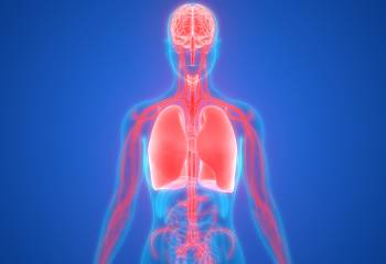 Can Consciousness Exist Without a Body?
