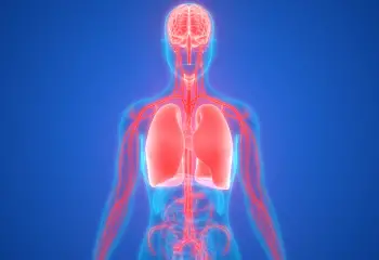 Can Consciousness Exist Without a Body?