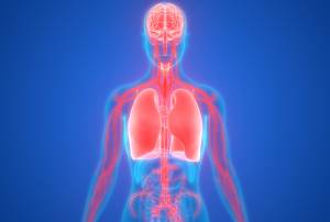 Can Consciousness Exist Without a Body?