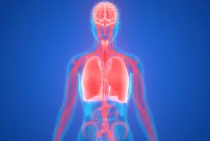 Can Consciousness Exist Without a Body?