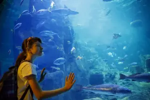 Girl gazing into aquarium full of marine life with hands on glass