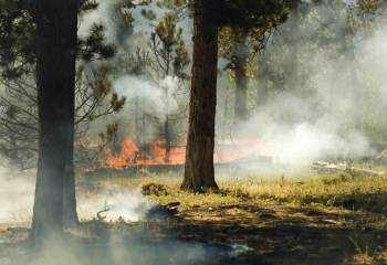 Why Embracing Conflict Now Can Prevent Catastrophe Later