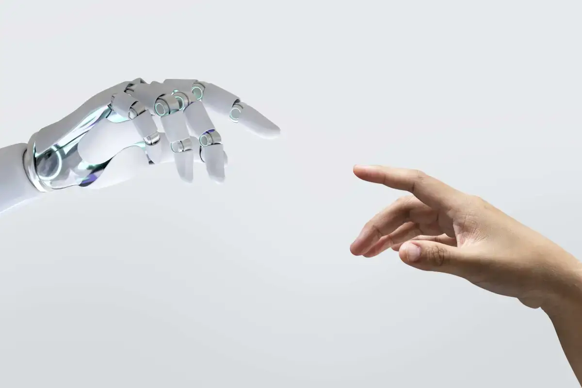 What Makes Human Touch So Special?